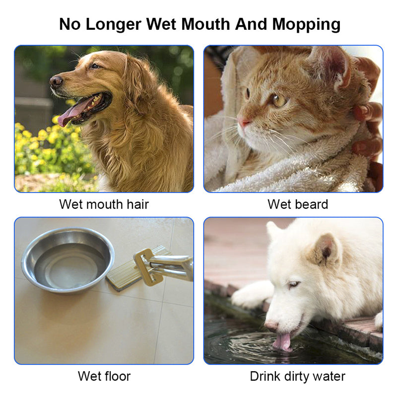 Luxury Mom Kastle 1.5L Cat Dog Water Bowl Luxury Mom Kastle