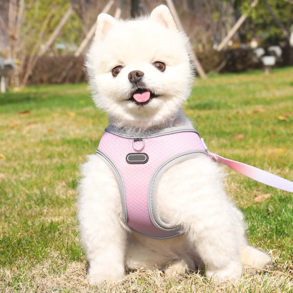 Luxury Mom Kastle Pet Clothes Hand Holding Rope Out Dog Chest Strap Luxury Mom Kastle dog harness