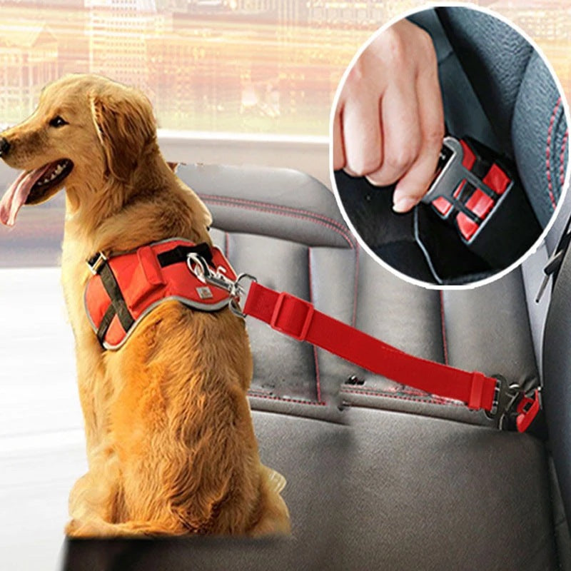 Luxury Mom Kastle Pet Car Seat Belt Car Retractable Hand Holding Rope Luxury Mom Kastle
