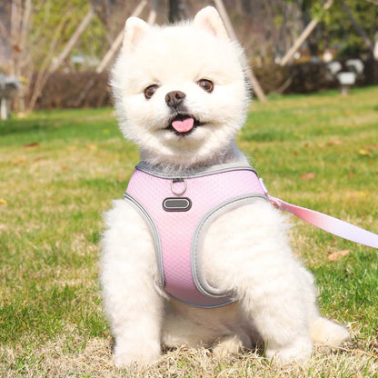 Luxury Mom Kastle  Pet Clothes Hand Holding Rope Out Dog Chest Strap Luxury Mom Kastle  dog harness