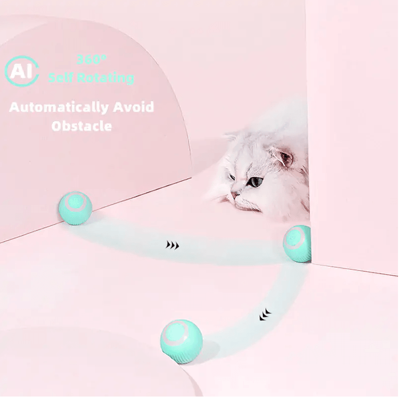Luxury Mom Kastle  Smart Cat Ball Toys Luxury Mom Kastle Best Offers